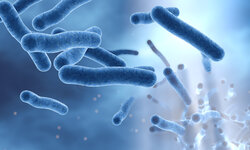Umweltmikrobiologische Ringversuche – Informationen und Erfahrungen Legionellen,