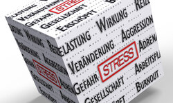 Stressmanagement Würfel mit Stressbegriffen
