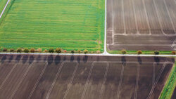 Bodenschutz in der Planung