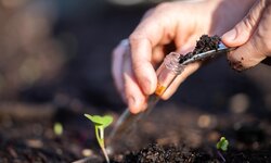 Akkreditierungspflicht? Was jetzt für die Probenahme von Böden gilt! Bodenprobe