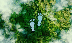 Einführung Corporate Carbon Footprinting (CCF)
